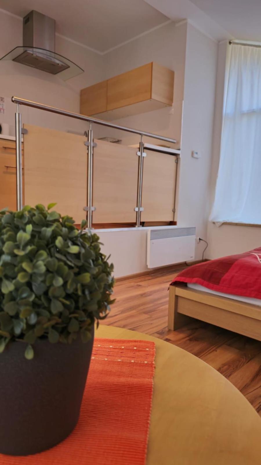 Apartamenty Kama Поляниця-Здруй Екстер'єр фото